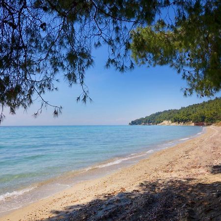 Vv Luxury Experience Villa Fourka Dış mekan fotoğraf